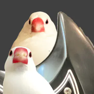 guitarman18@misskey.io